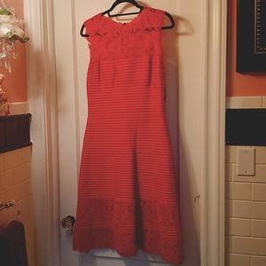 NWT Tadashi Shoji Orange stretch dress with lace Size M BRAND NEW